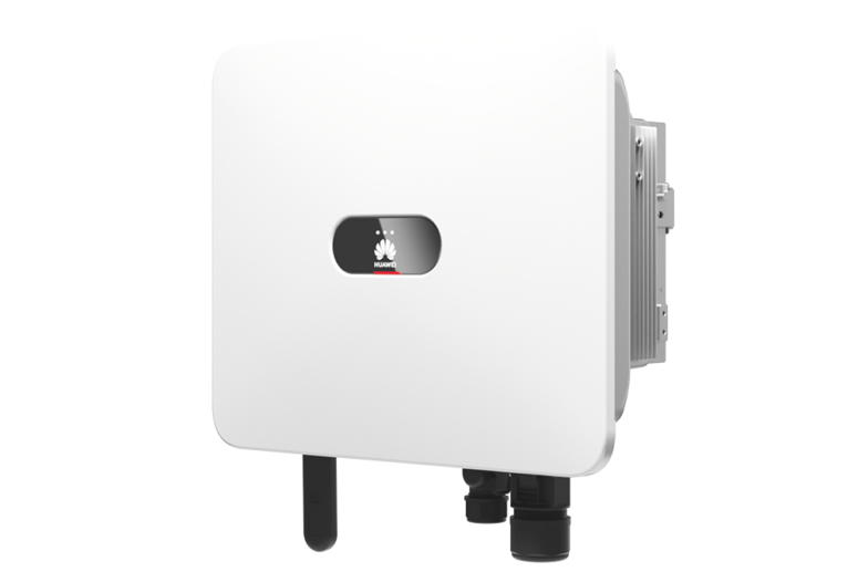 Pig tri-tip picanha chicken salami cow